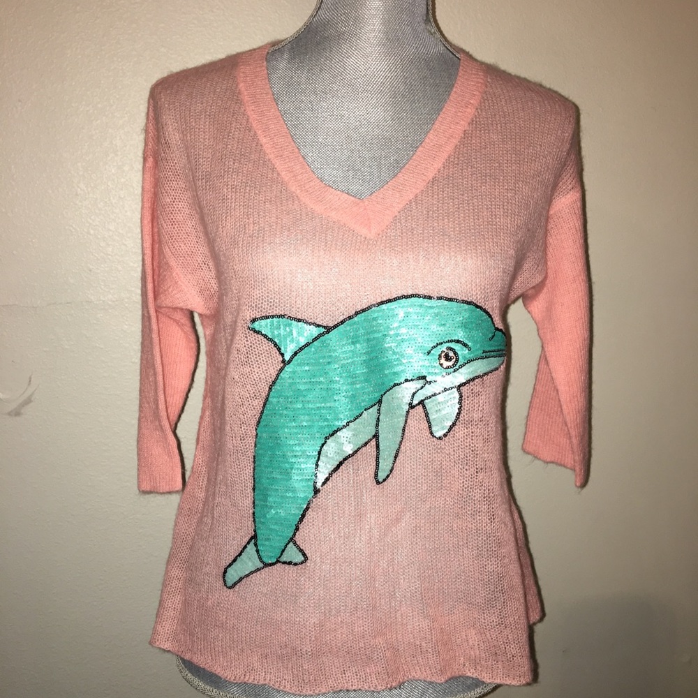 Wildfox sweater